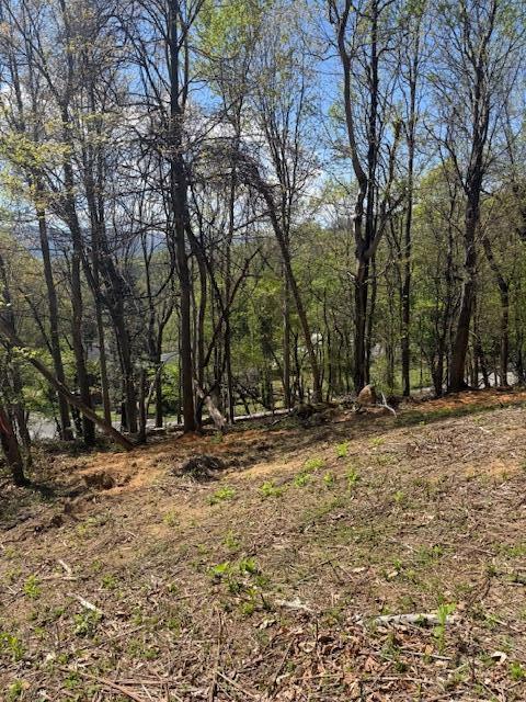 0 Sugar Loaf Mountain Road Roanoke, VA 24018 - Photo 8 of 35 a view of a backyard with large trees