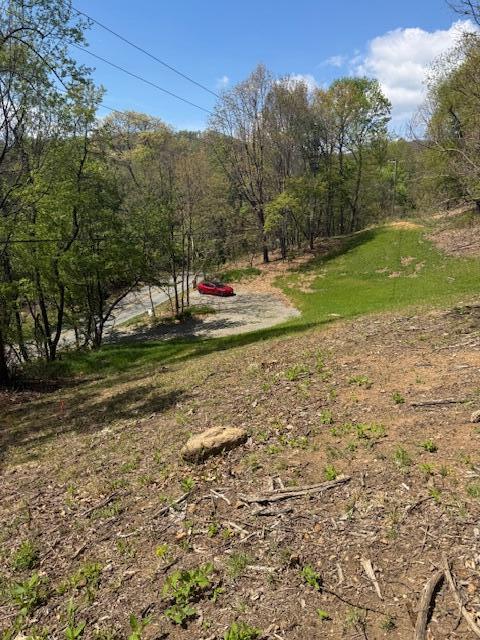 0 Sugar Loaf Mountain Road Roanoke, VA 24018 - Photo 9 of 35 a view of a field with a tree in the background