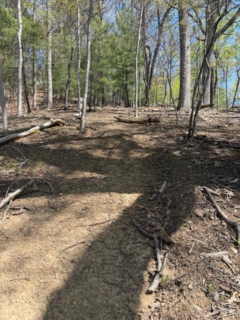 0 Sugar Loaf Mountain Road Roanoke, VA 24018 - Photo 10 of 35 a backyard of a house with lots of green space