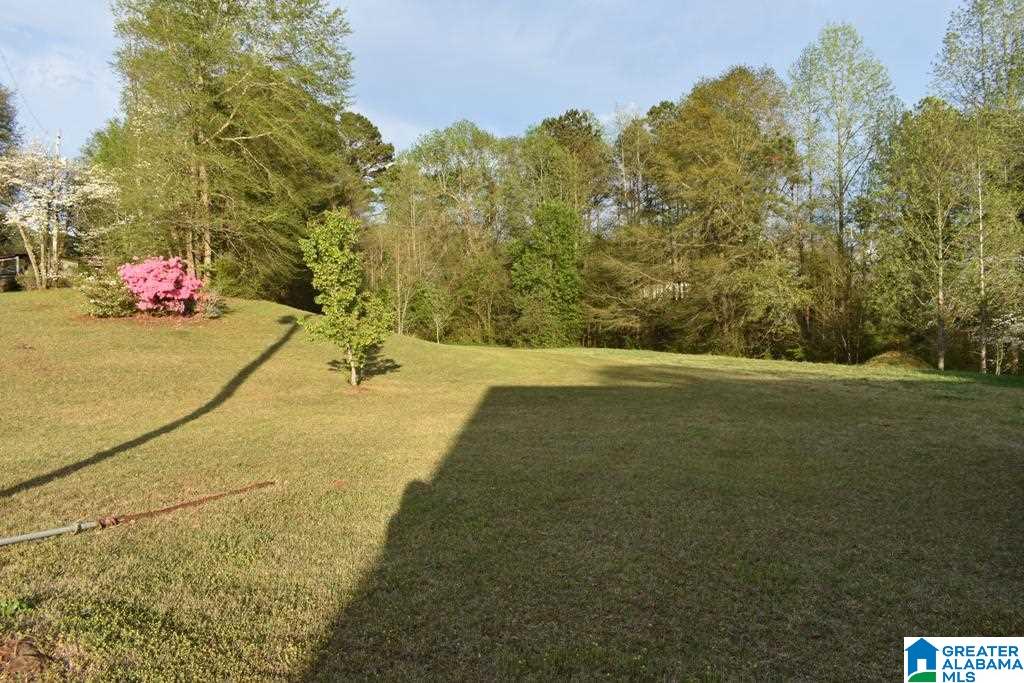 293 Sunset Drive Wedowee, AL 36278 - Photo 23 of 23