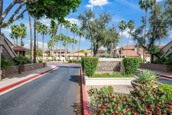a view of a yard and palm trees