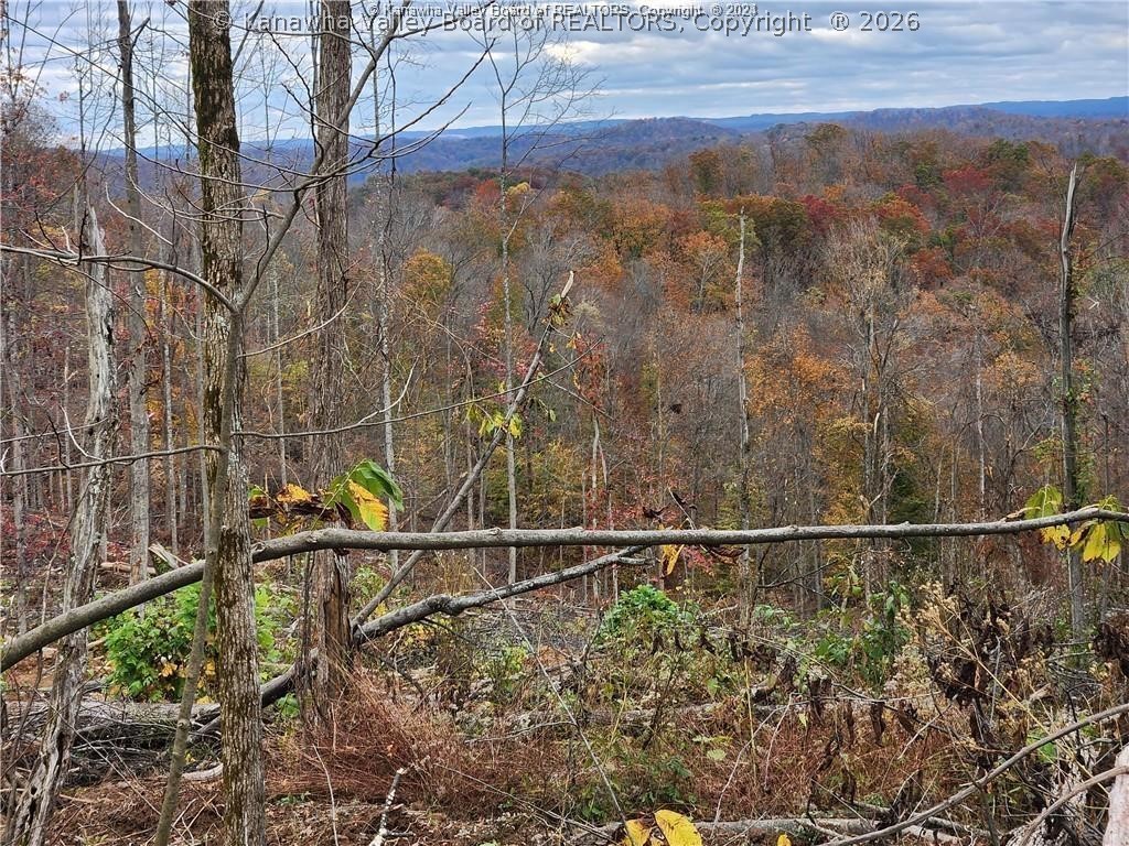 0 Beechy Road Procious, WV 25164 - Photo 18 of 29 Gallery Image 18