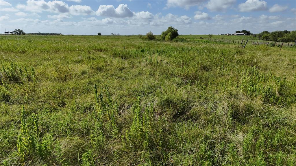 Lot 25 Northwest County 2170 Road Barry, TX 75102 - Photo 14 of 39 a view of a big yard with plants and a large tree