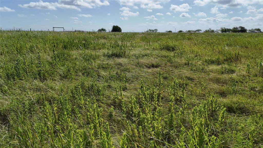 Lot 25 Northwest County 2170 Road Barry, TX 75102 - Photo 27 of 39 a view of a bunch of trees in a field