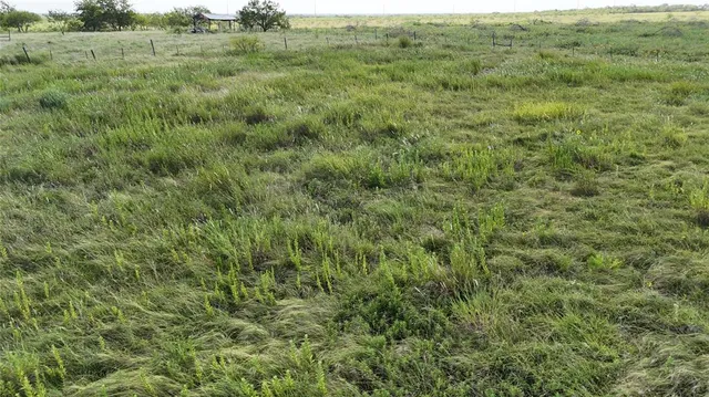 a view of an outdoor space and a yard