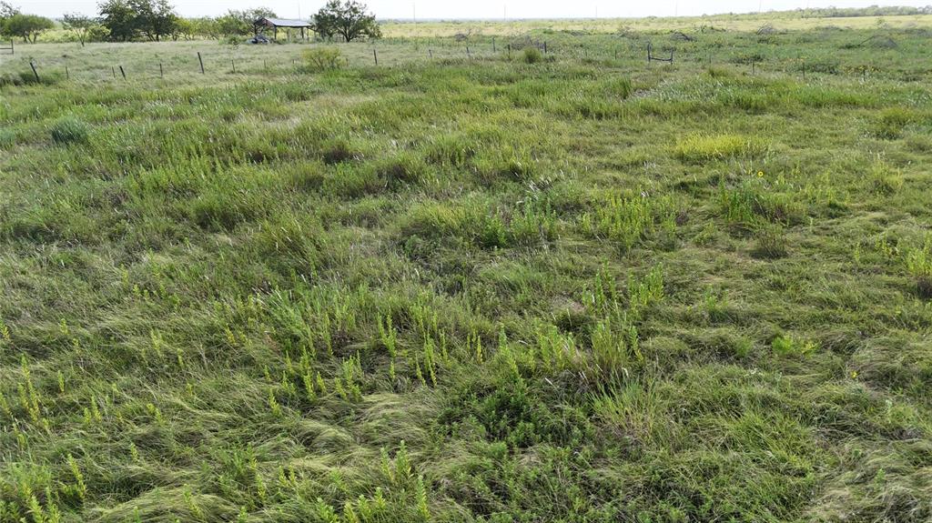 Lot 25 Northwest County 2170 Road Barry, TX 75102 - Photo 31 of 39 a view of a field of grass and trees