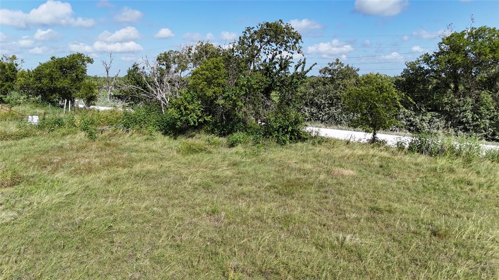 Lot 25 Northwest County 2170 Road Barry, TX 75102 - Photo 35 of 39 a view of a bunch of trees and bushes