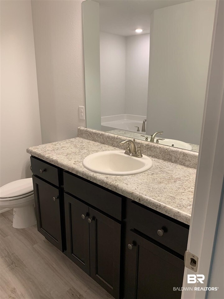16138 Pylon Court Foley, AL 36535 - Photo 10 of 18 master bath