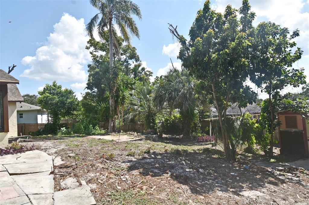 741 Arlene Drive Deltona, FL 32725 - Photo 9 of 34 a view of outdoor space with trees
