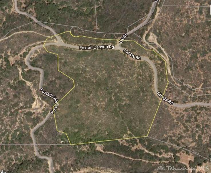 0 Pine Spring Road Caliente, CA 93518 - Photo 32 of 34 Gallery Image 32