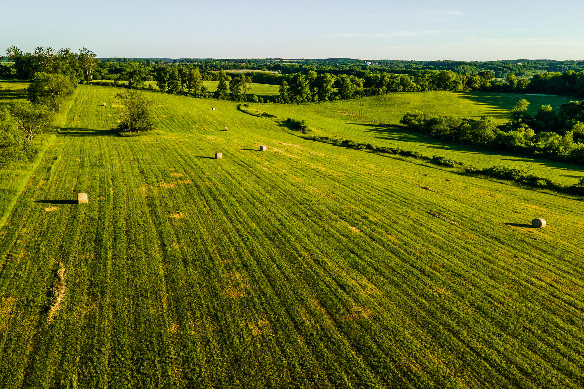 Lt1 Eli Valley Road Loganville, WI 53943 - Photo 49 of 66 Sauk-County-WI-90-Acres-Land-For-Sale-Su