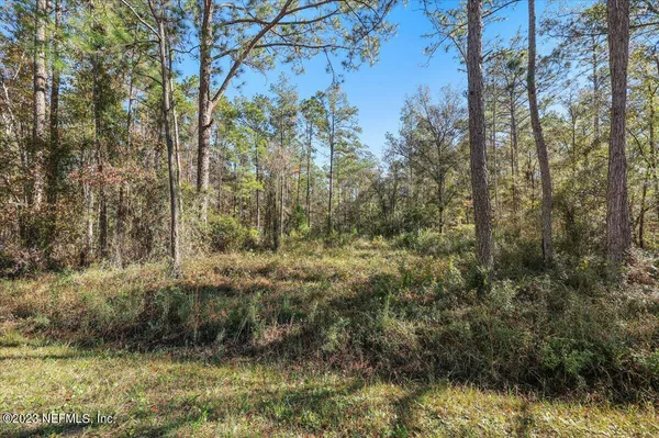 $32,000 | 10690 Gregory Avenue, Hastings, FL 32145
