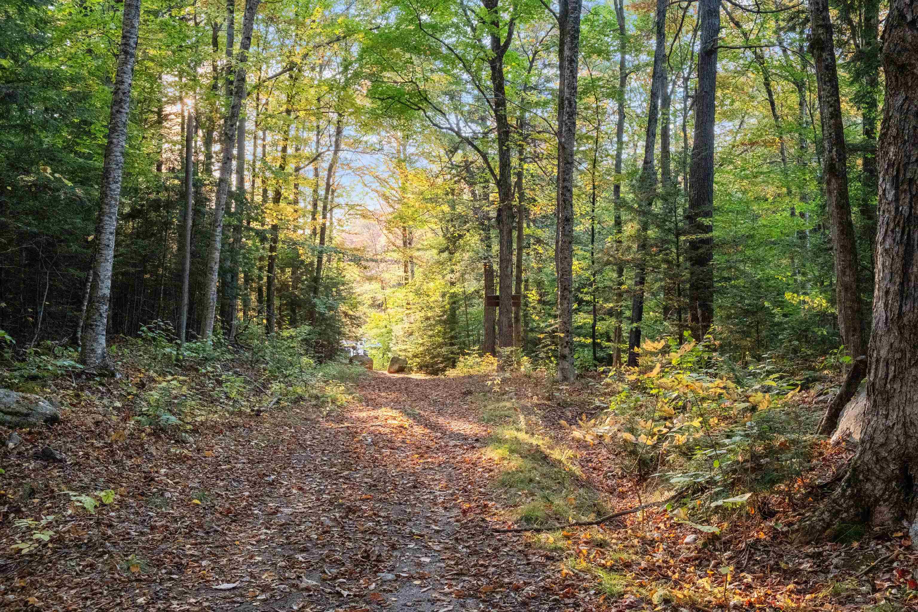 17 Landing Road Lincoln, NH 03251 - Photo 54 of 59