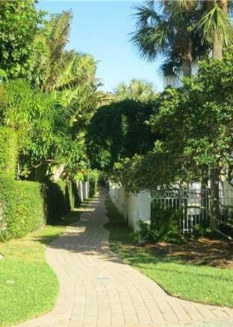 126 Orion Circle Jupiter, FL 33477 - Photo 71 of 82 a view of a yard with plants and trees