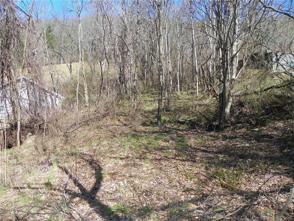 0 Lookout Road, Unit 411 Asheville, NC 28804 - Photo 14 of 17 Gallery Image 14