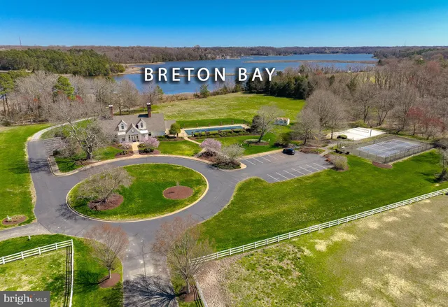 a view of a swimming pool with a yard and plants