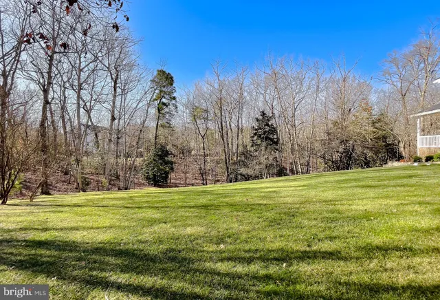 a big yard with lots of green space