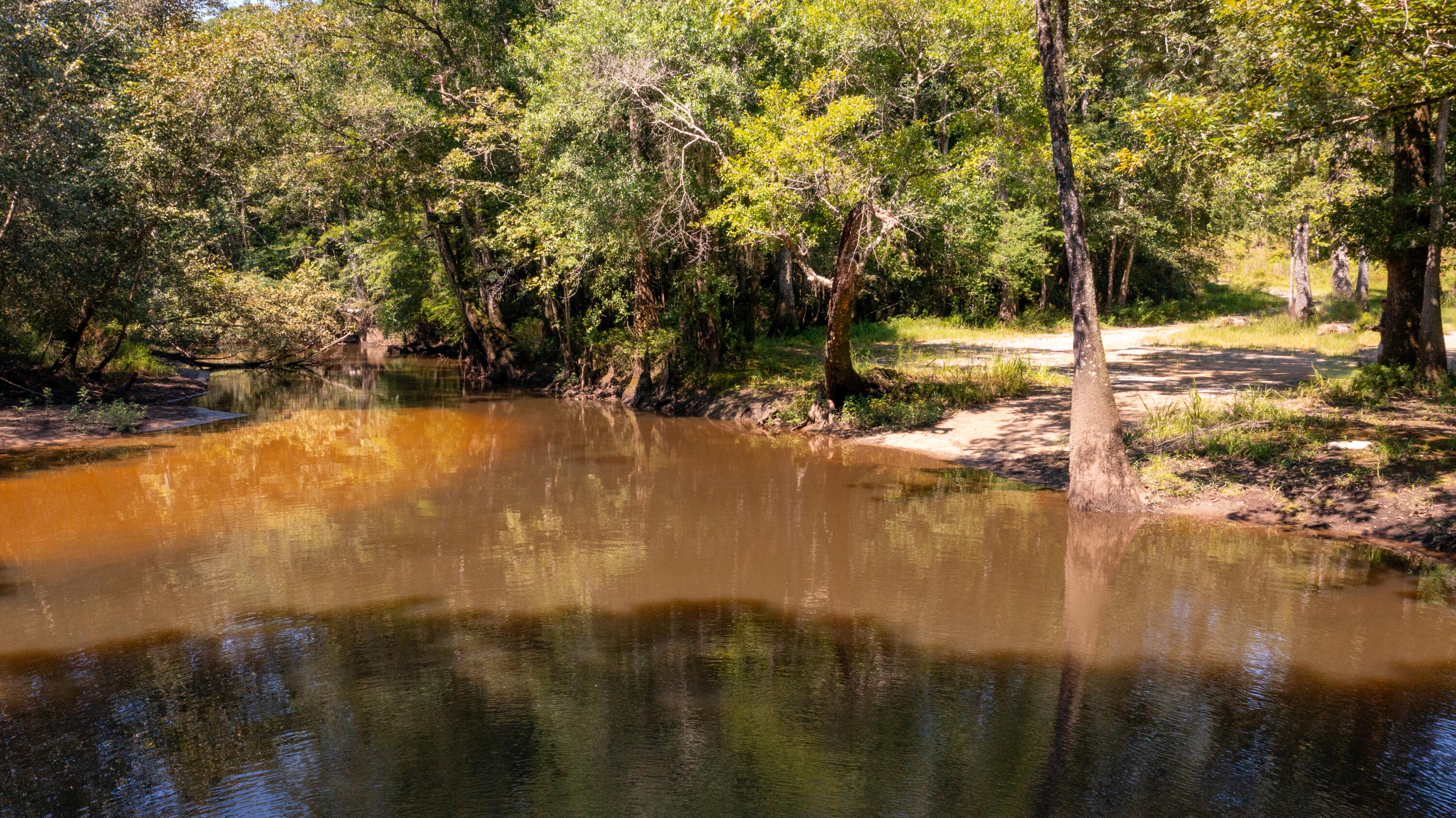 Tbd Rossen Cove Baker, FL 32531 - Photo 3 of 30 Baker Lot-69