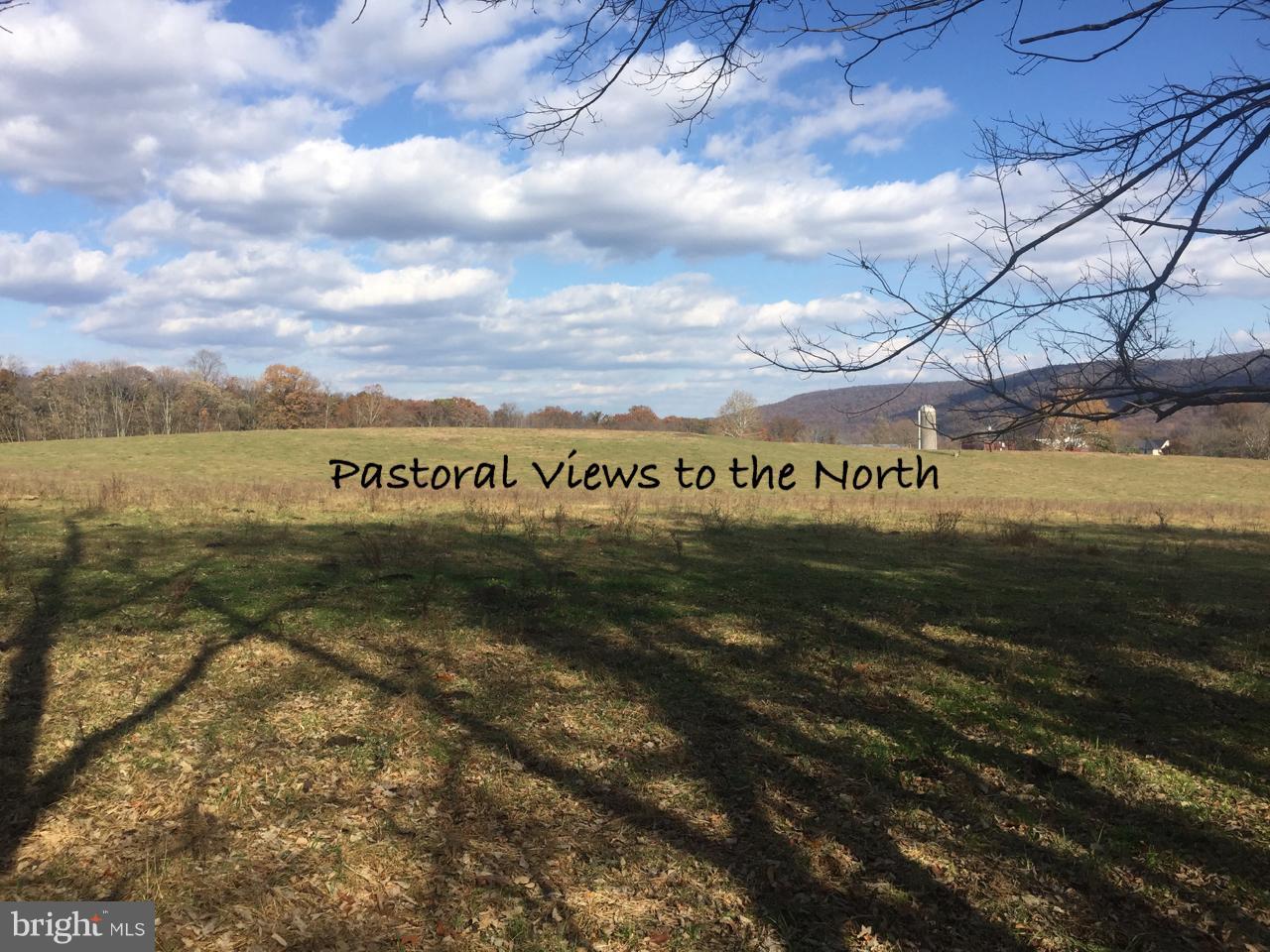 Sagle Road Purcellville, VA 20132 - Photo 2 of 10 Exterior (General)