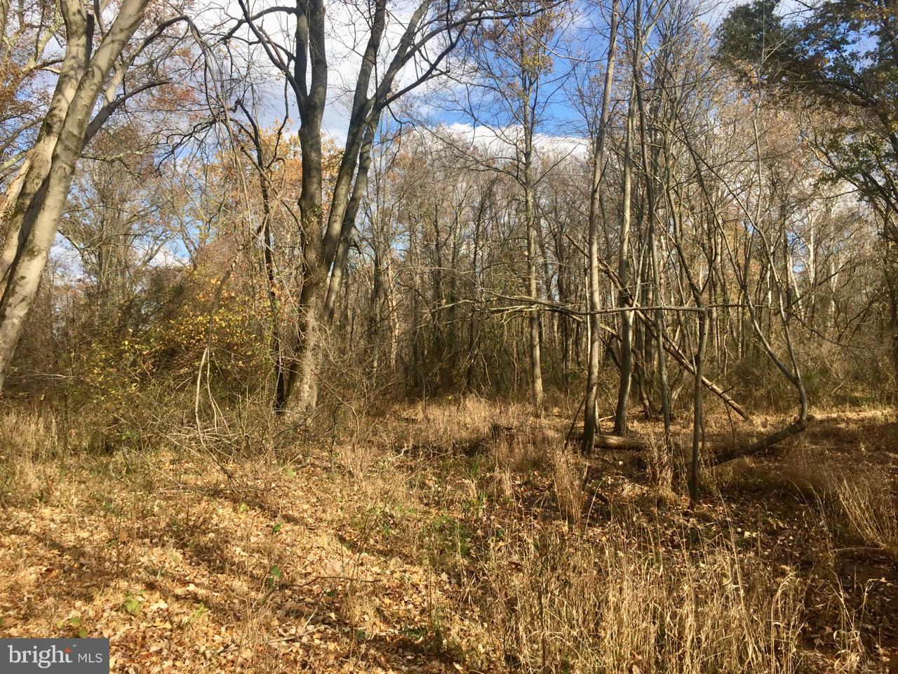 Sagle Road Purcellville, VA 20132 - Photo 5 of 10 Exterior (General)
