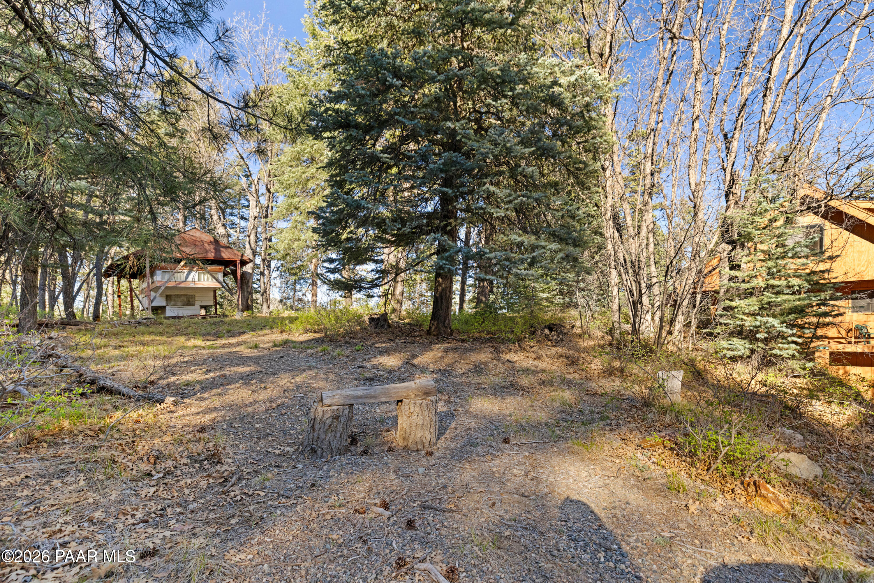 8520 South Hoot Owl Ridge Drive Prescott, AZ 86303 - Photo 21 of 25 a view of a yard with a tree