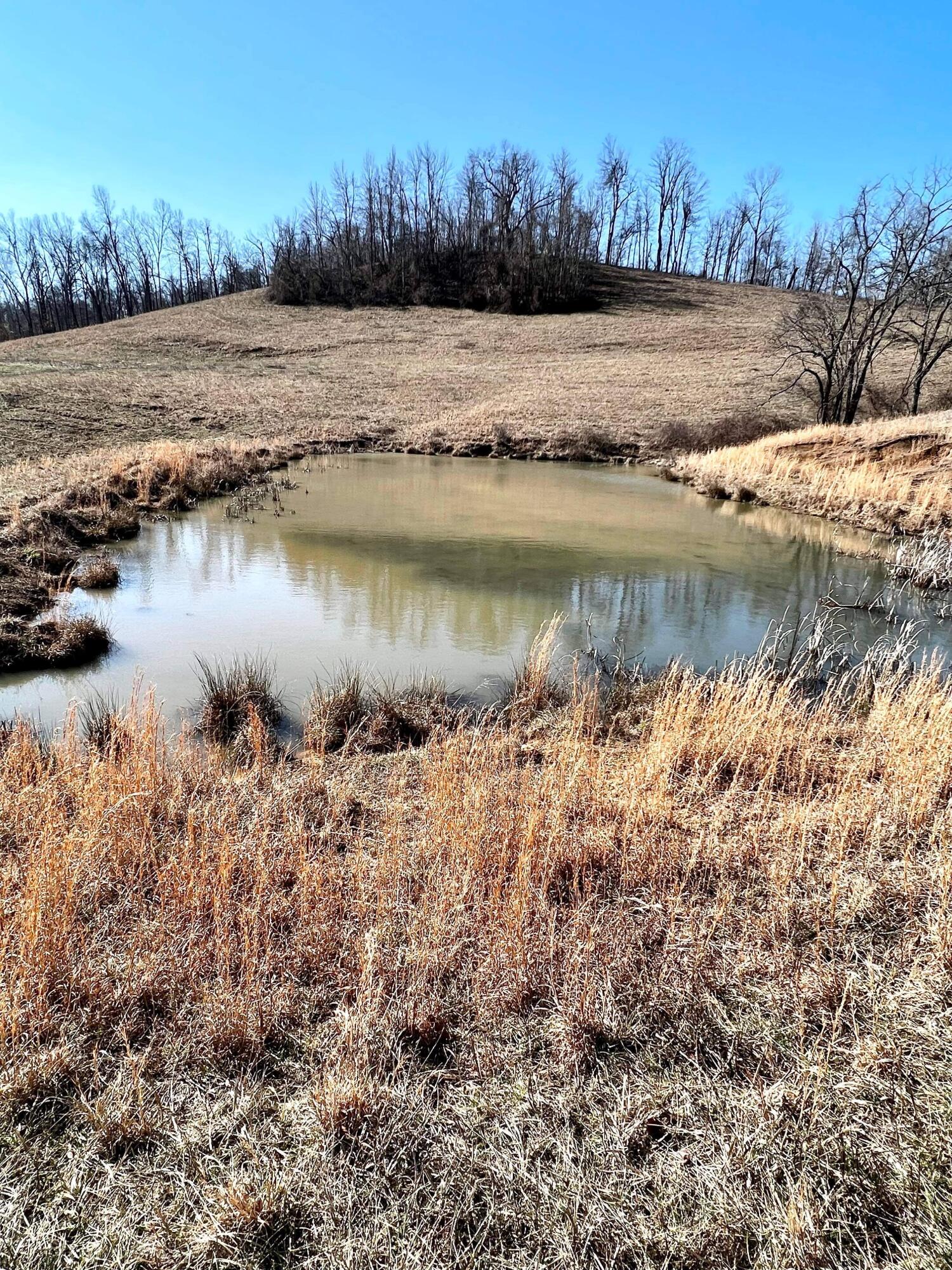 812 Stringtown Road Sandy Hook, KY 41171 - Photo 119 of 154 IMG_6106