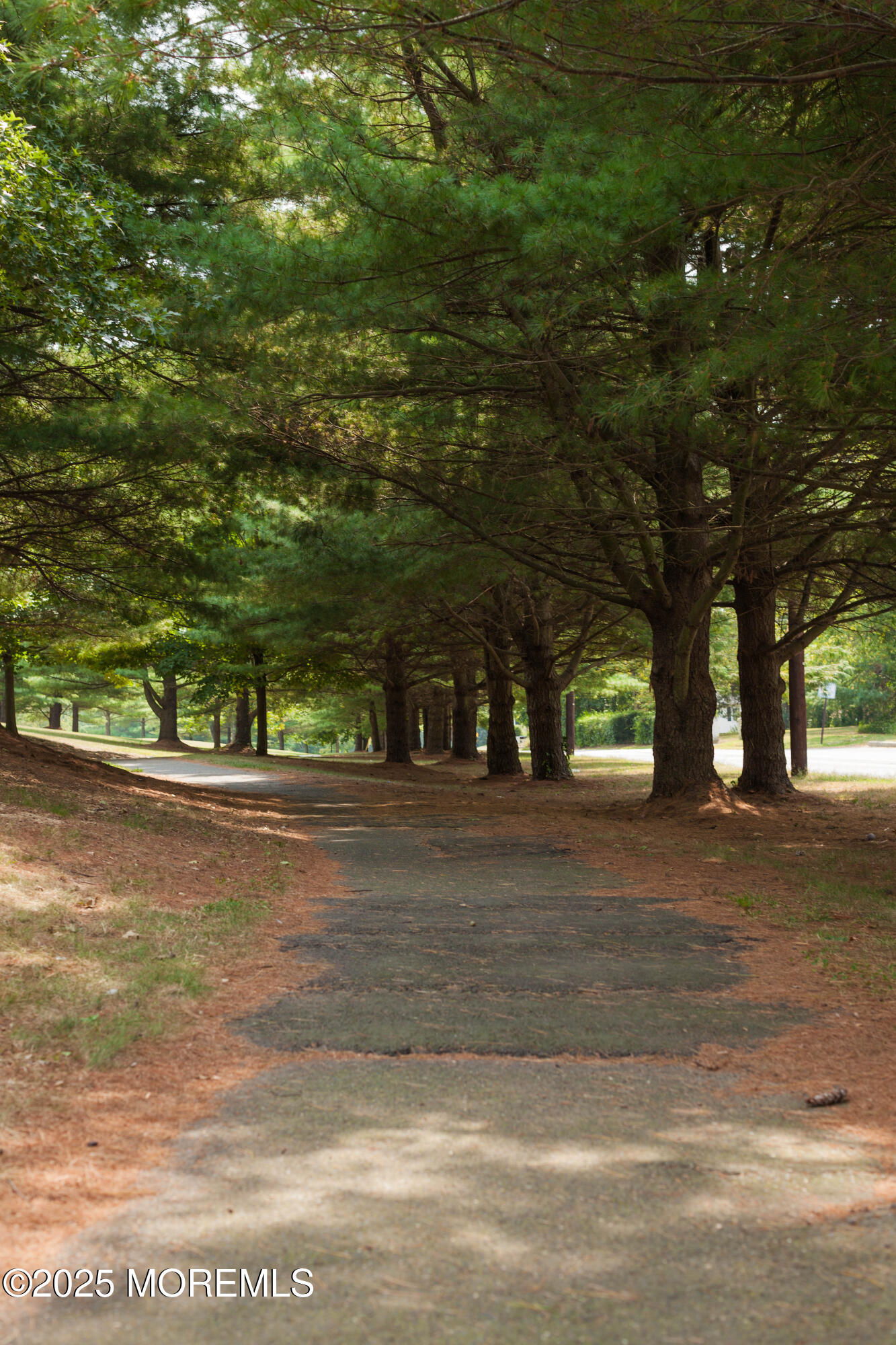1826 New Bedford Road Wall, NJ 07719 - Photo 6 of 8 a view of a yard