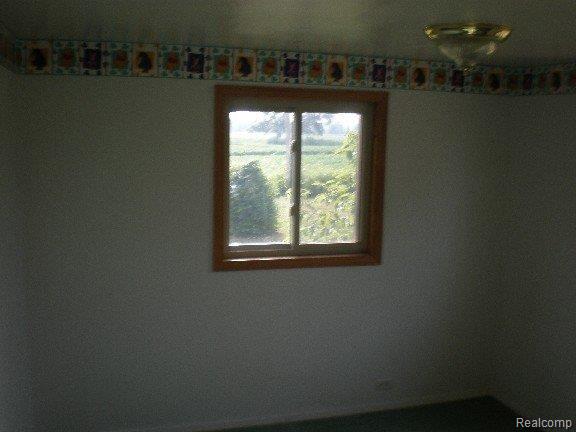 9119 Green Road Goodells, MI 48027 - Photo 22 of 25 P8030070-mfsopt