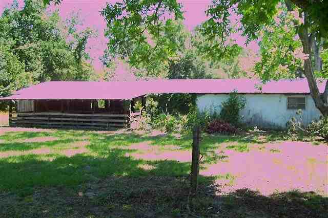 81st Road O'Brien, FL 32604 - Photo 5 of 5 Gallery Image 5