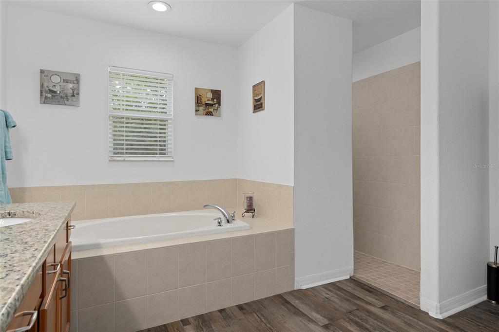 7 Bigleaf Court Homosassa, FL 34446 - Photo 34 of 71 a bathroom with a bathtub and a sink