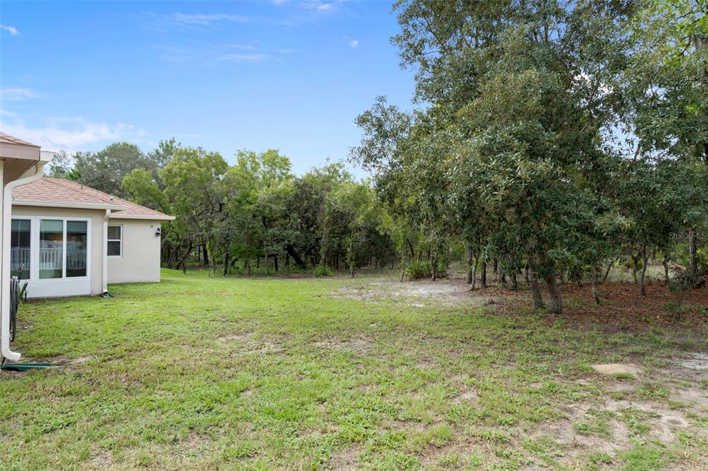 7 Bigleaf Court Homosassa, FL 34446 - Photo 54 of 71 a backyard of a house with lots of green space