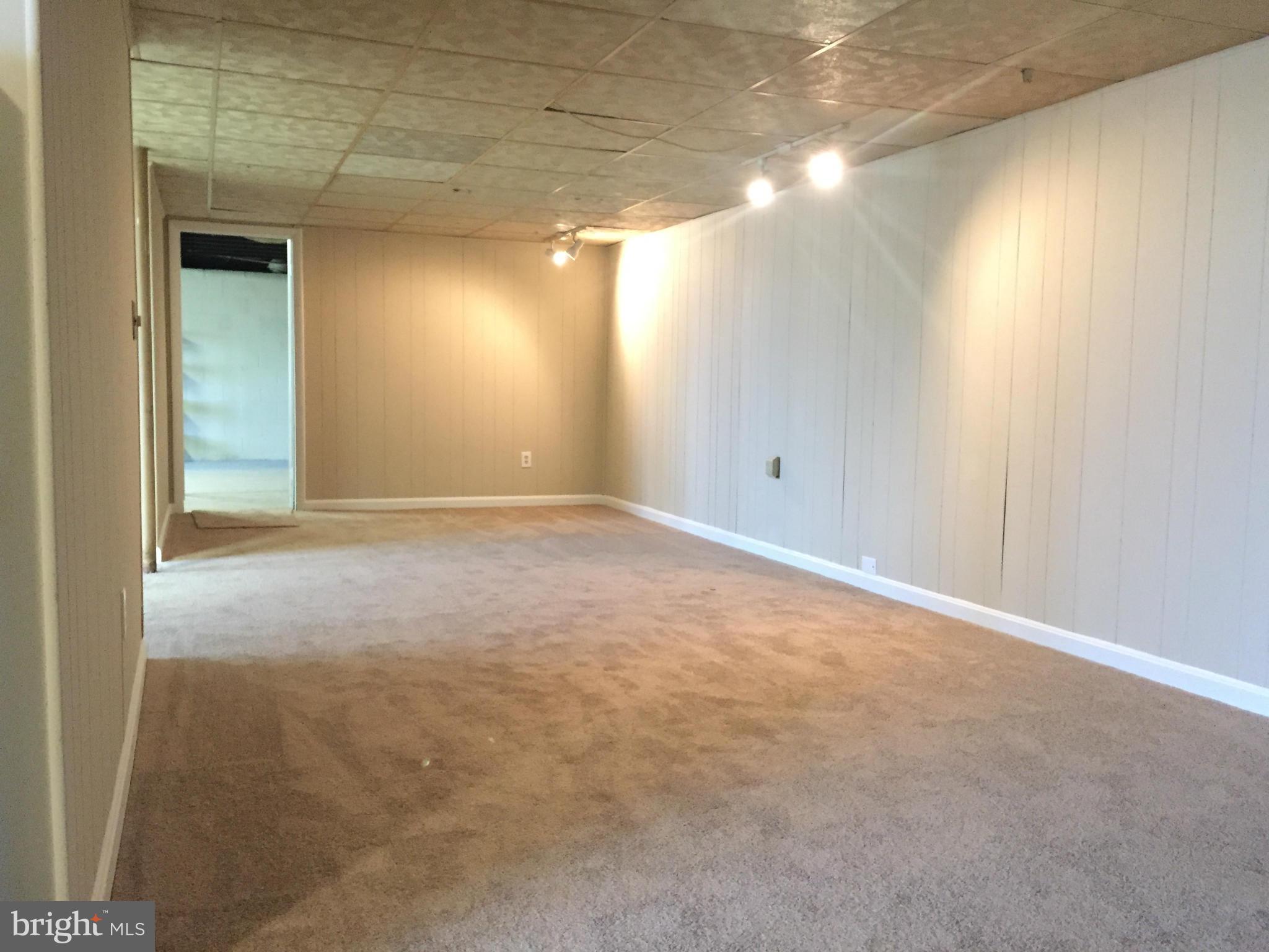 7713 Buckhill Road Kingsville, MD 21087 - Photo 23 of 26 Basement