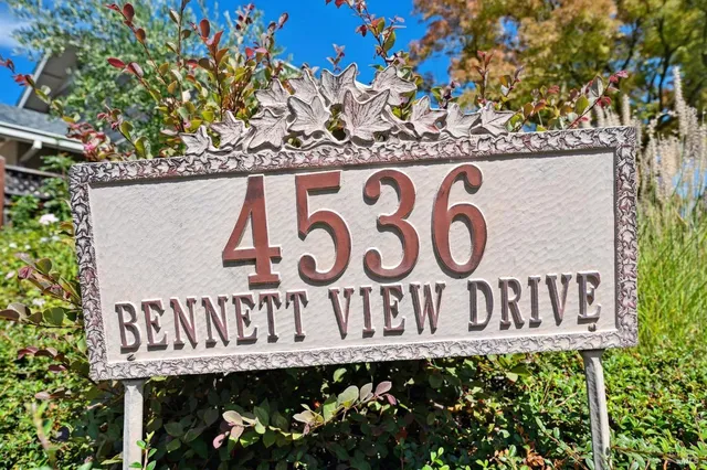 a view of a house with a potted plant
