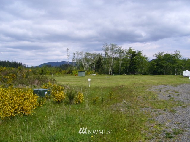 1203 Palmer Road Forks, WA 98331 - Photo 1 of 1 Gallery Image 1