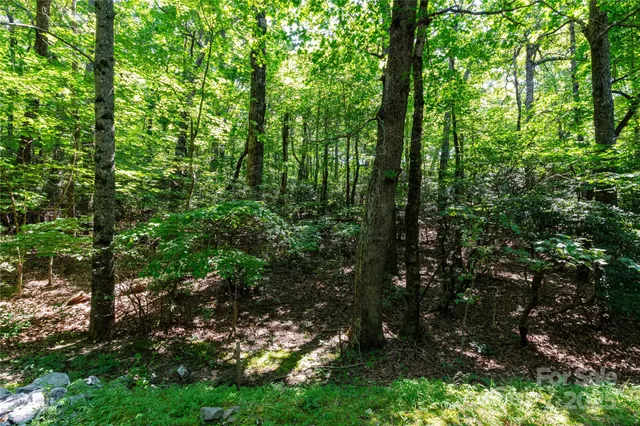 $97,000 | 9999 Arrowhead Trail, Unit 74 75 AND 76, Columbus, NC 28722