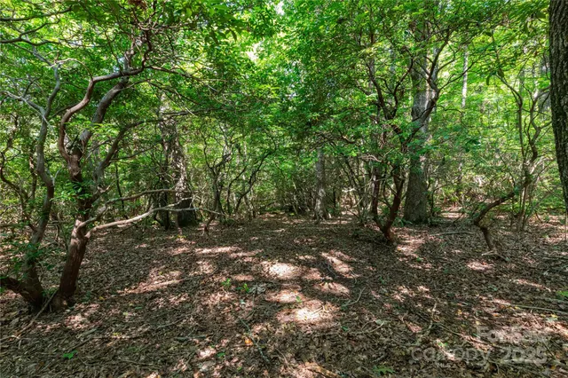 $97,000 | 9999 Arrowhead Trail, Unit 74 75 AND 76, Columbus, NC 28722