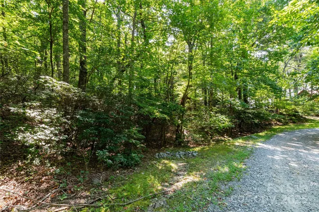 $97,000 | 9999 Arrowhead Trail, Unit 74 75 AND 76, Columbus, NC 28722