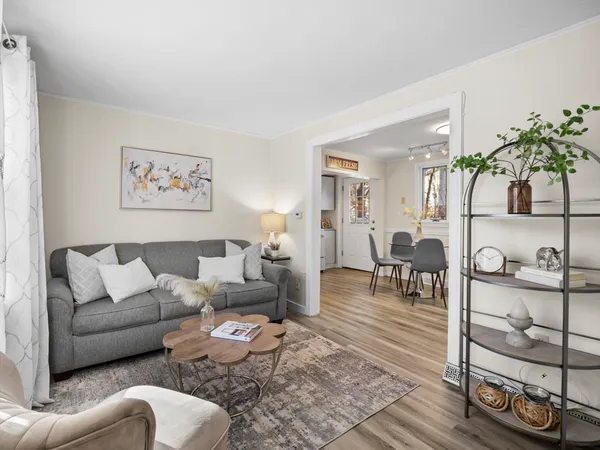 a living room with furniture a rug and a potted plant