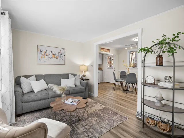 a living room with furniture a rug and a potted plant