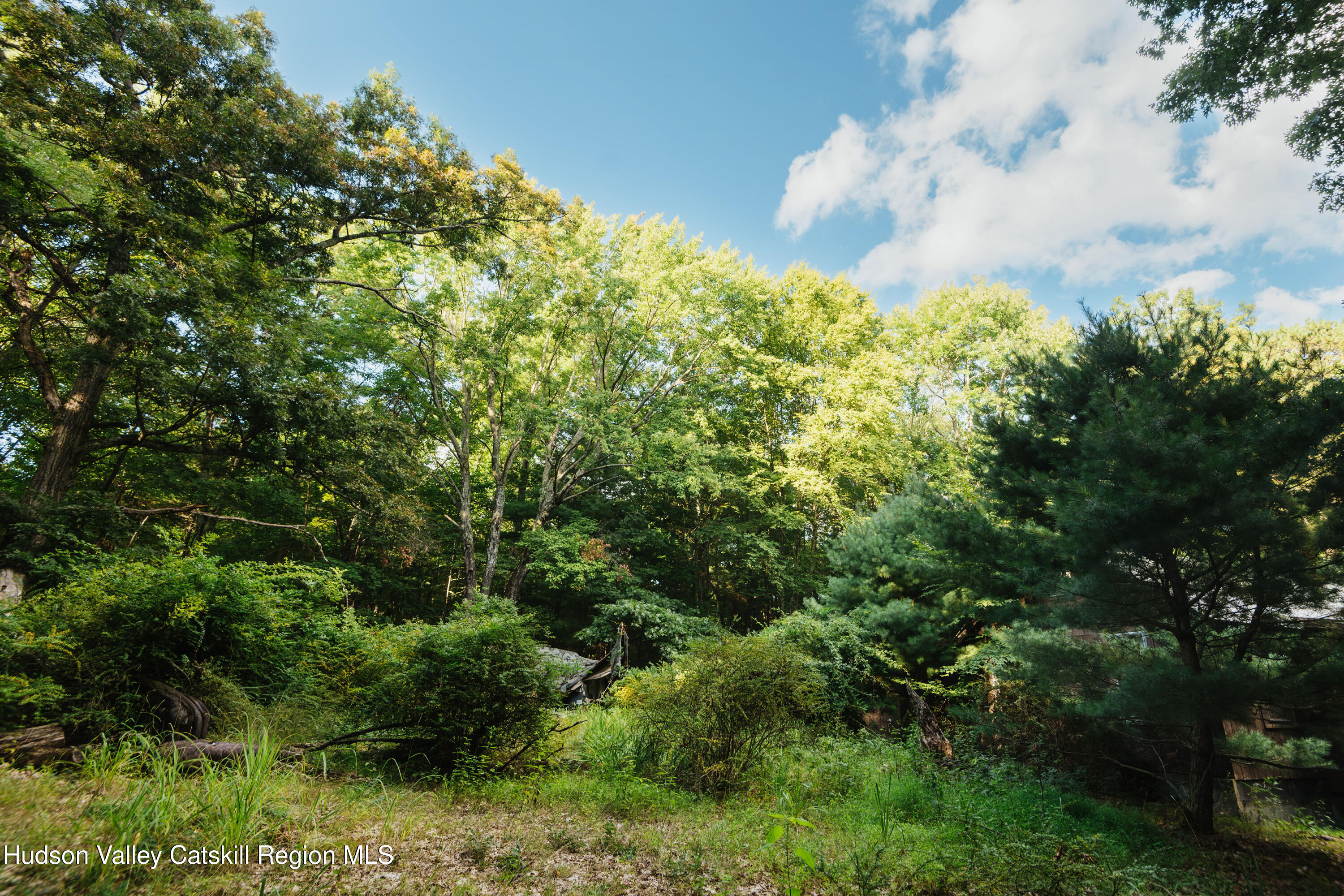 148 Beaverkill Road Kingston, NY 12401 - Photo 20 of 26 DSC_5350