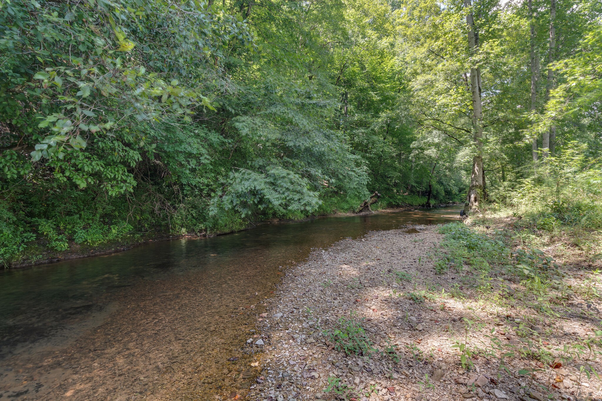 640 Longbranch Road Hohenwald, TN 38462 - Photo 45 of 49 Gallery Image 45