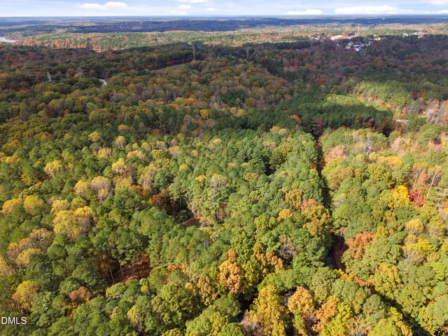 a view of yard with green space