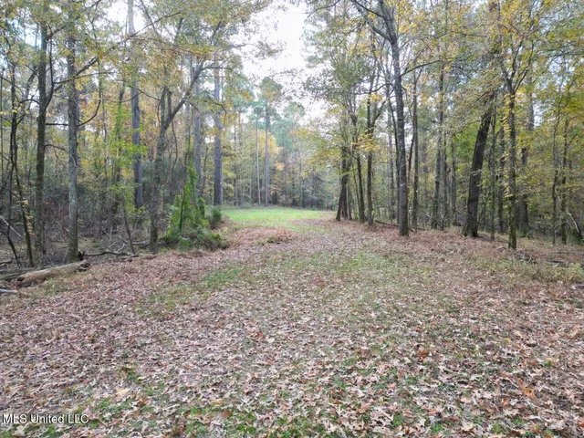 $365,000 | 4 Old Hamburg Roxie Road Northwest, Roxie, MS 39661