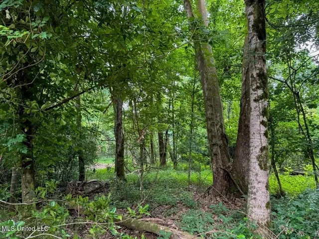 $365,000 | 4 Old Hamburg Roxie Road Northwest, Roxie, MS 39661