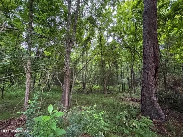 $365,000 | 4 Old Hamburg Roxie Road Northwest, Roxie, MS 39661