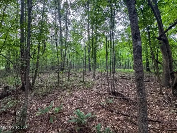 $365,000 | 4 Old Hamburg Roxie Road Northwest, Roxie, MS 39661