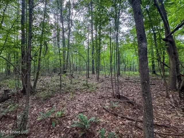 $365,000 | 4 Old Hamburg Roxie Road Northwest, Roxie, MS 39661