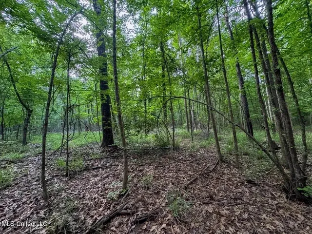 $365,000 | 4 Old Hamburg Roxie Road Northwest, Roxie, MS 39661