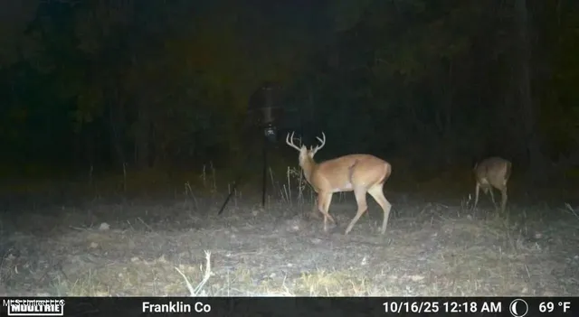 $365,000 | 4 Old Hamburg Roxie Road Northwest, Roxie, MS 39661