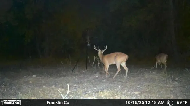 $365,000 | 4 Old Hamburg Roxie Road Northwest, Roxie, MS 39661